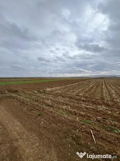Teren de 2500 mp, în Horodnic