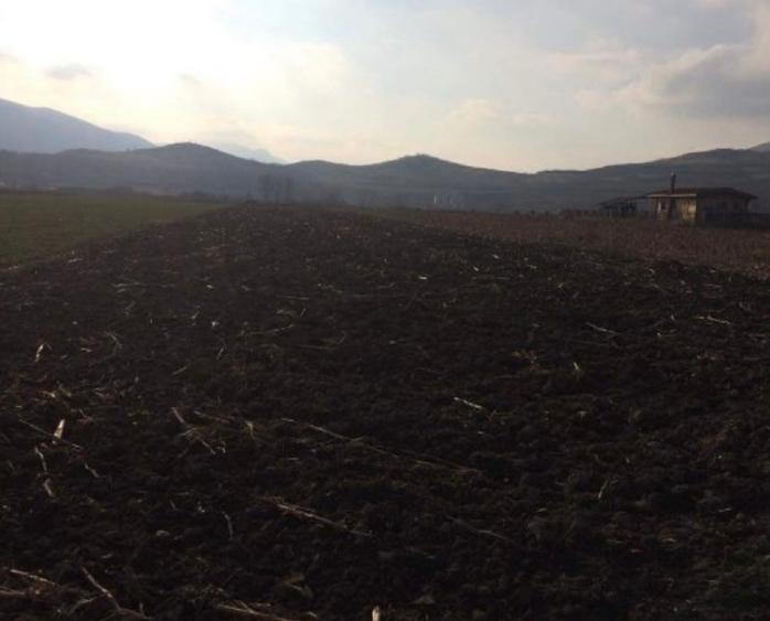 Teren Construcții intravilan de 3000 mp, în Șard