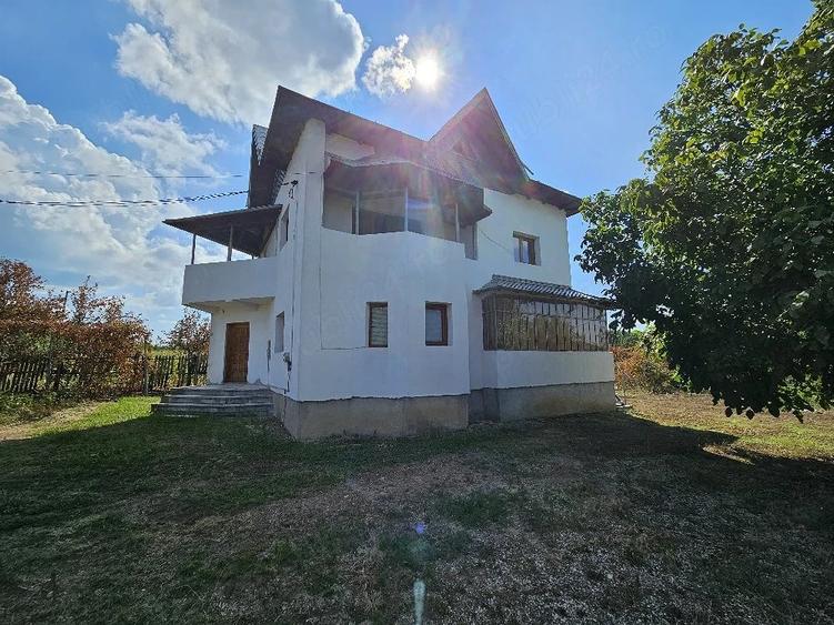Casă cu Teren 5907 Mp în Vedea
