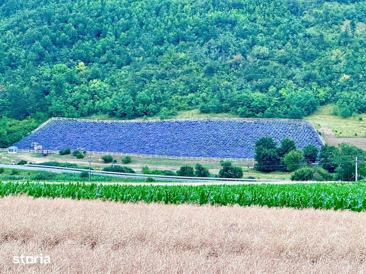 Teren de 8000 mp, în Central