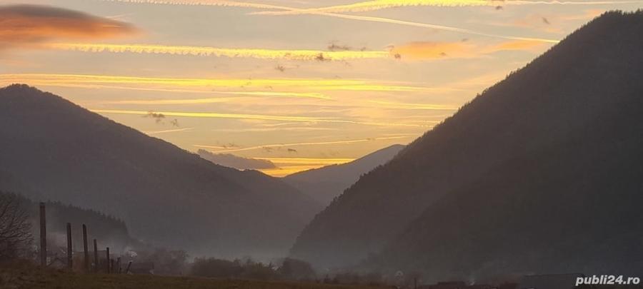 Teren de 5000 mp, în Gura Râului