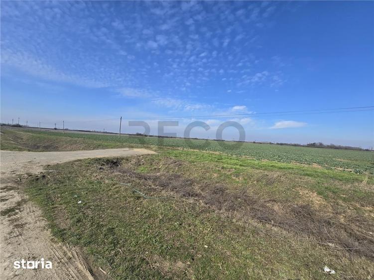 Teren de 5754 mp, în Nojorid