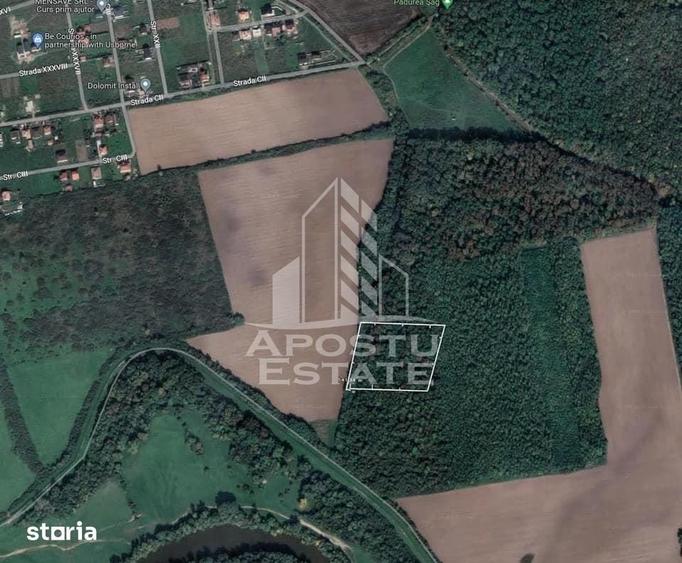 Teren de 10000 mp, în Moșnița Nouă