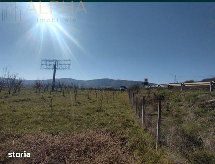 Teren de 12300 mp, în Șcheia