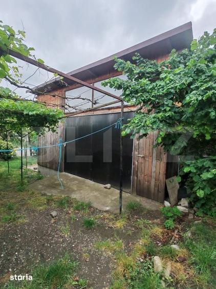 Casă cu 5 camere cu Teren 5000 Mp în Monor