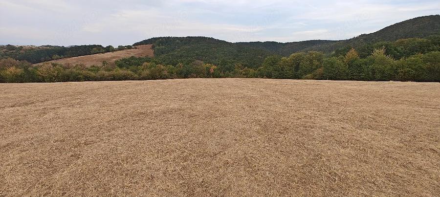 Teren de 35400 mp, în Balta