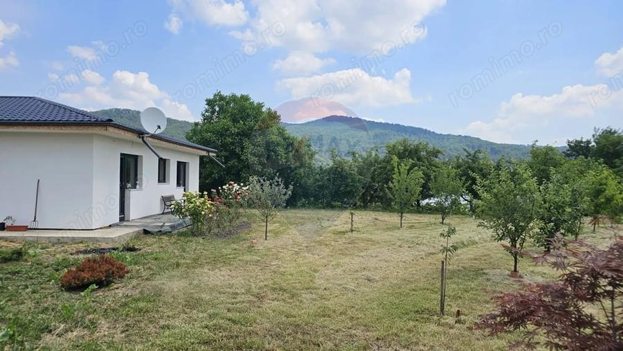 Casă cu 5 camere cu Teren 4242 Mp în Vânători-Neamț