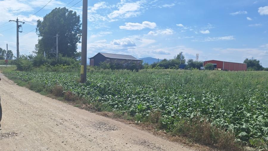 Teren Construcții intravilan de 1.5 mp, în Hălchiu