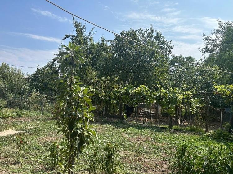 Casă individuală cu 4 camere cu Teren 923 Mp în Bujoru