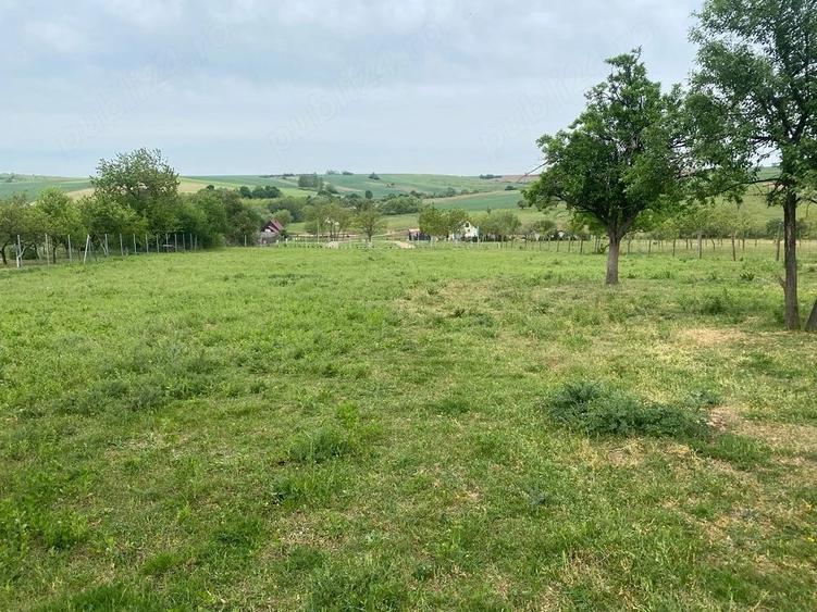 Teren de 4596 mp, în Cetariu