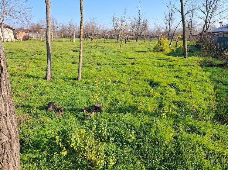 Casă cu 2 camere în Ion Roată