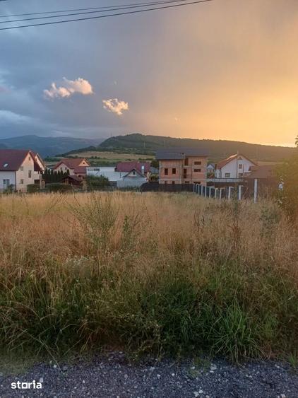 Teren de 1000 mp, în Central
