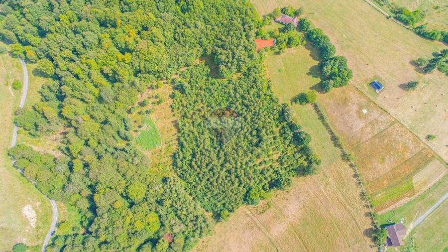 Teren agricol extravilan de 2053 mp, în Poiana Mărului