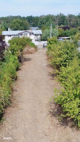 Teren 1.000 mp cu deschidere directa la lac, in Balotesti - 3