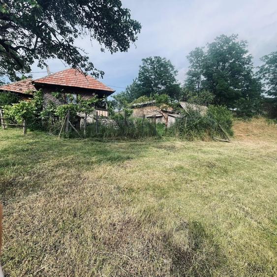Casă cu 2 camere în Plai