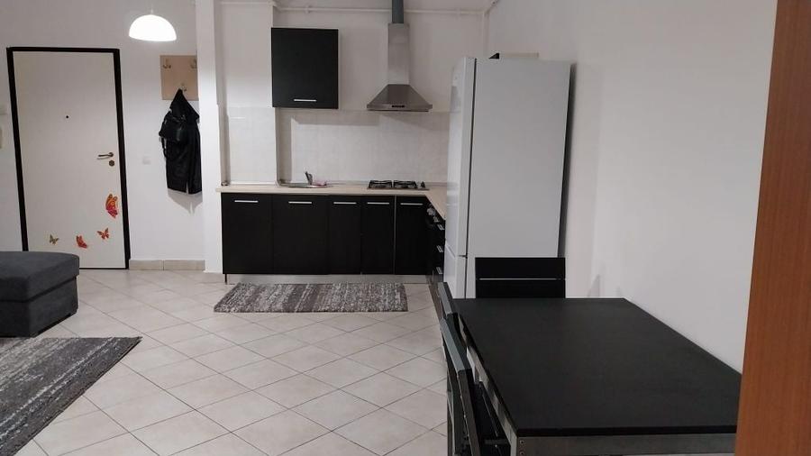 Apartament cu 2 camere decomandat în Viișoara