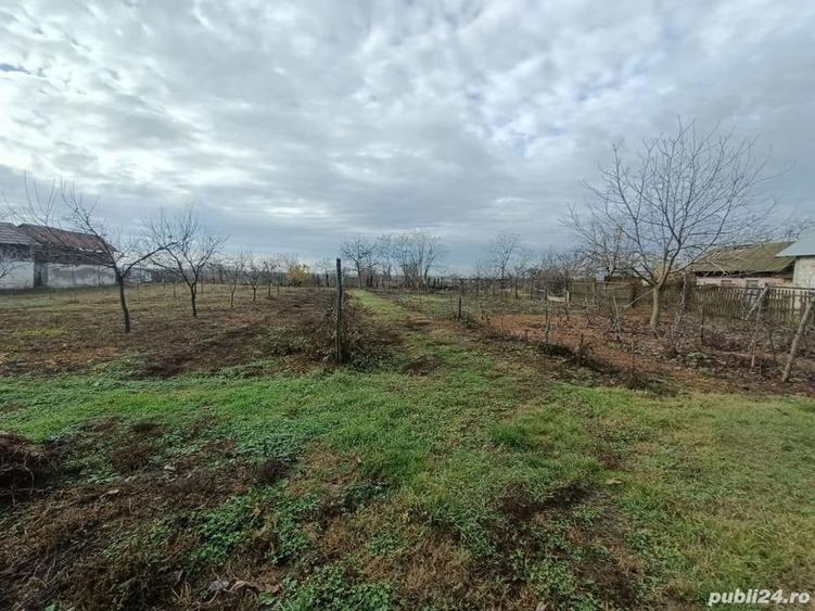 Teren în Ciupa-Mănciulescu