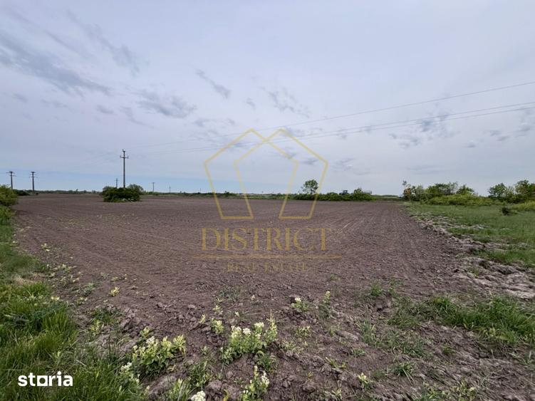 Teren de 48800 mp, în Pădureni