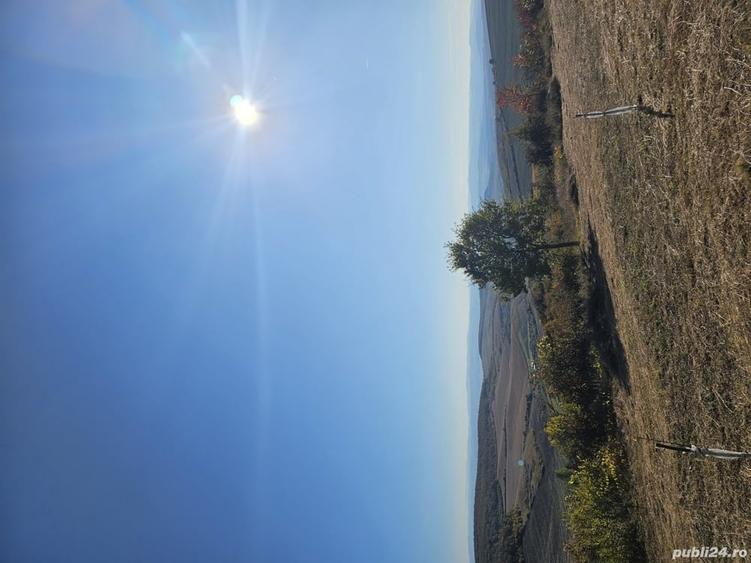 Teren de 5400 mp, în Șpring