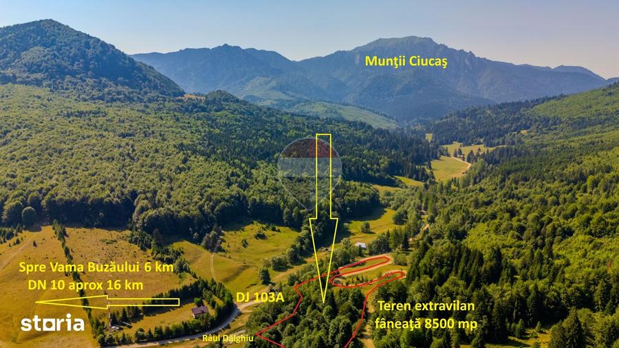 Teren de 8500 mp, în Tărlungeni