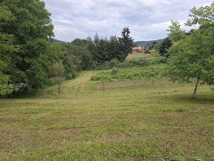 Teren de 2300 mp, în Brădețelu