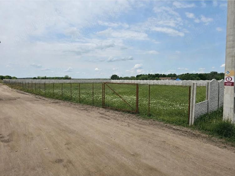Teren de 700 mp, în Nanov