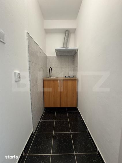 Camera de Camin, 25 mp, zona Lapus, Electro Putere - 4