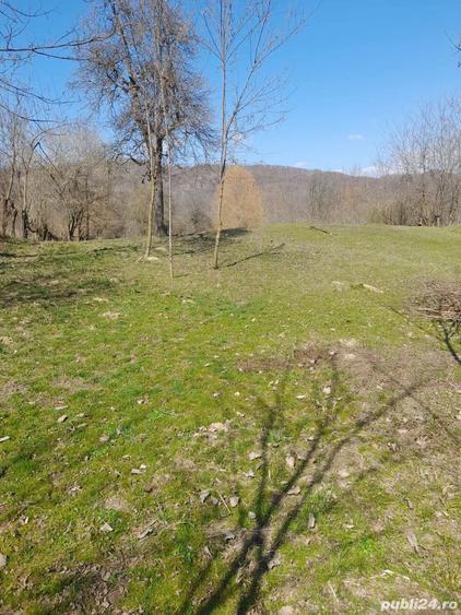 Teren de 2650 mp, în Malurile