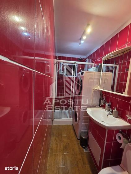Apartament cu 2 camere semidecomandat în Iosefin