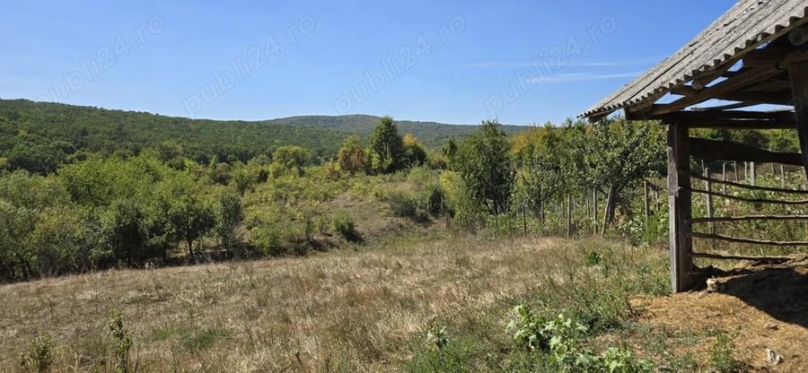 Casă cu 2 camere în Chicerea