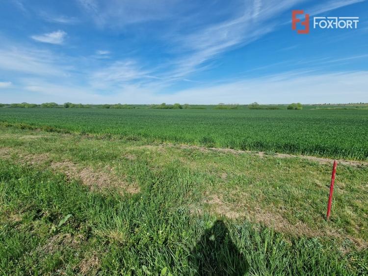 Teren agricol extravilan de 9500 mp, în Remetea Mare