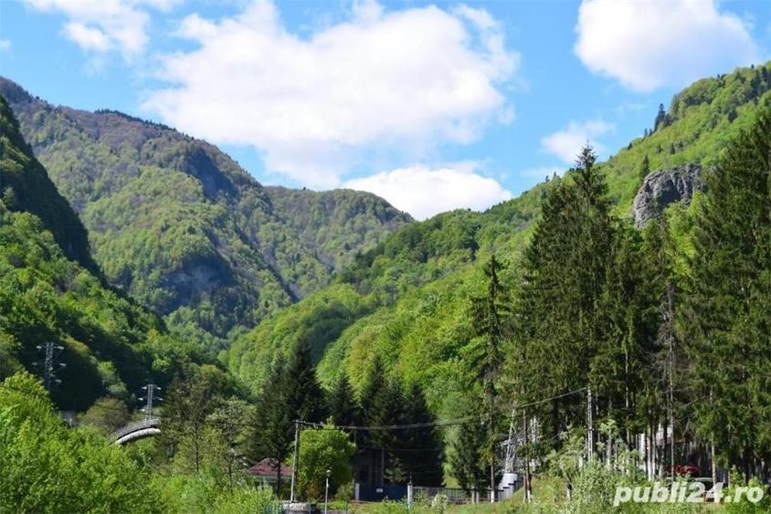 Teren de 1000 mp, în Moroeni