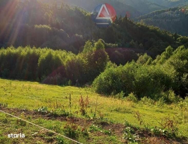 Spațiu comercial, în Drumul Carului