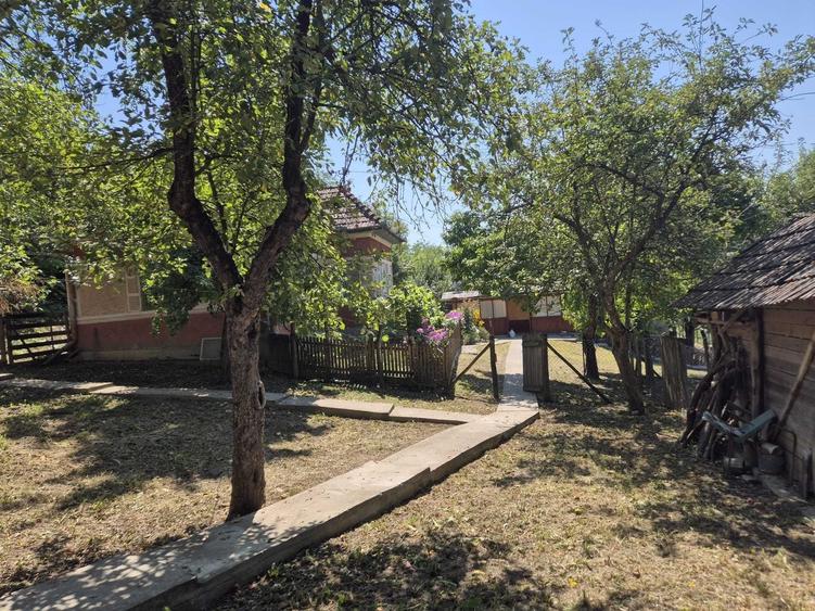 Casă cu 3 camere în Răzoare