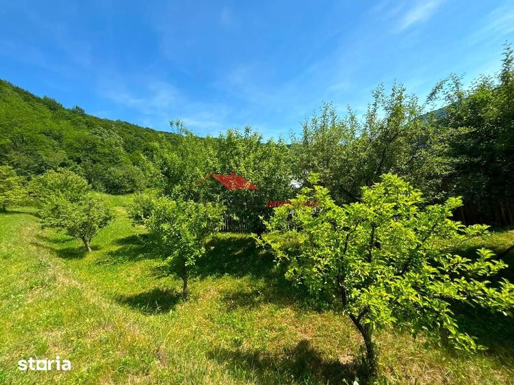 Casă cu 3 camere cu Teren 900 Mp în Târlișua