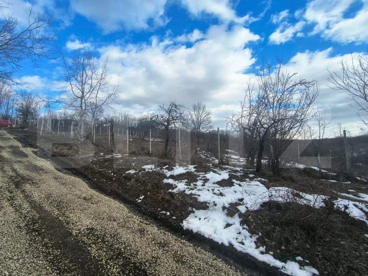 Teren Construcții intravilan de 10000 mp, în Păulești