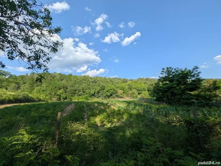 Teren de 800 mp, în Central