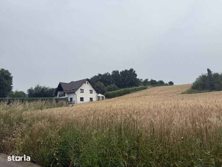 Teren de 3900 mp, în Moara