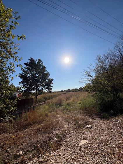 Teren de 3010 mp, în Gruiu (Căteasca)