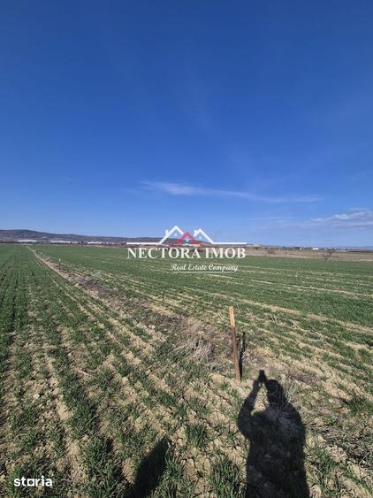 NECTORA IMOB-Teren Intravilan 537 mp, Zona Solay, 250 m de asfalt - 5