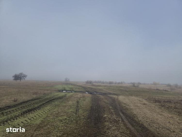 Teren 3.000 mp cu autoriza?ie hala Holboca, Ia?i | Rate - 3