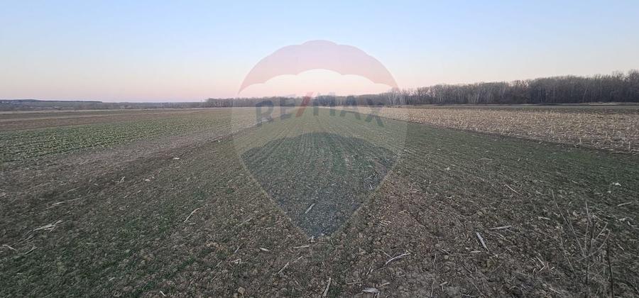 Teren agricol intravilan de 5000 mp, în Filipești