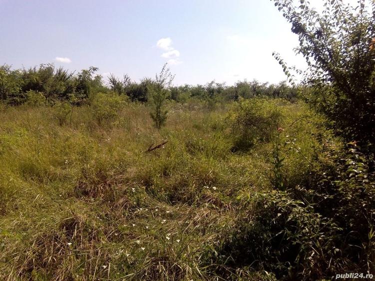 Teren de 1150 mp, în Butimanu