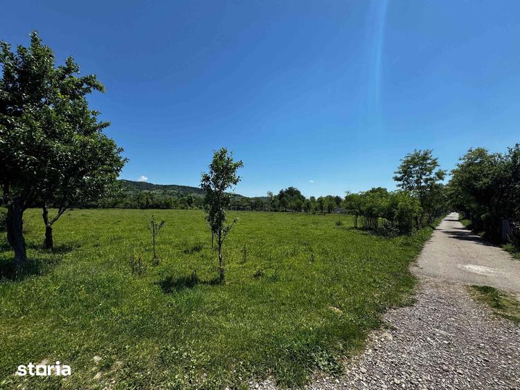 Teren de 5450 mp, în Brebu