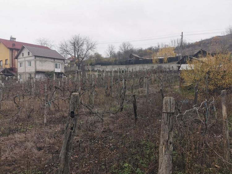 Casă individuală cu 4 camere cu Teren 7000 Mp în Argetoaia
