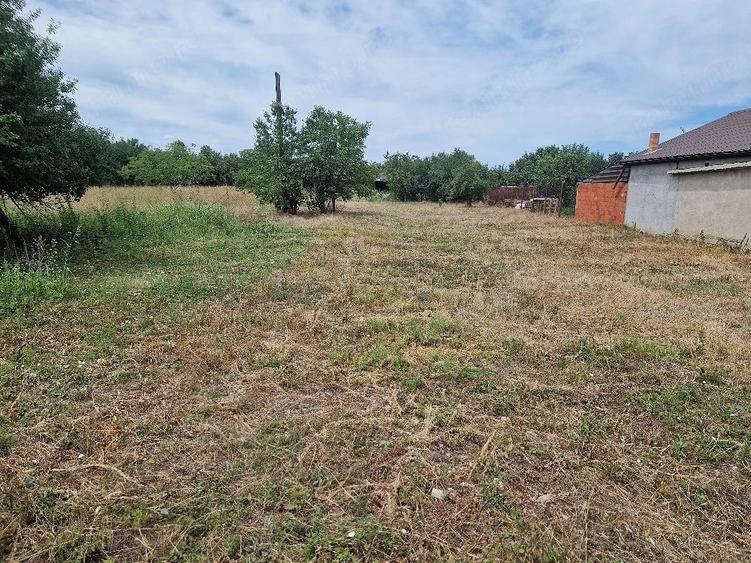 Teren de 3758 mp, în Șag