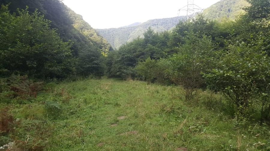 Teren Construcții intravilan de 2834 mp, în Râu de Mori