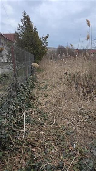 Teren intravilan de 1150 mp, în Calea Voinicenilor