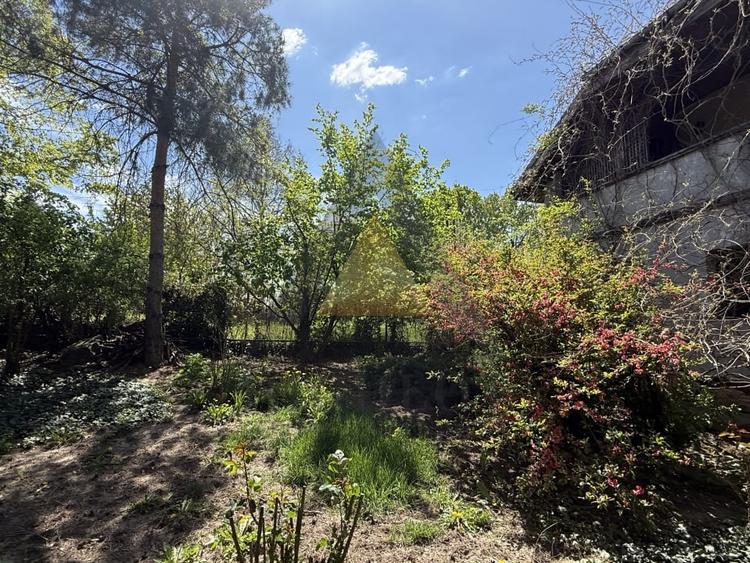 CORBEANCA LAC | OPORTUNITATE - VILA INDIVIDUALA CU TEREN 1200 mp - 9