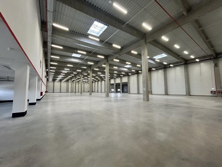 Spațiu industrial, de 4,000 mp, în Palas